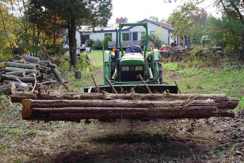 Salvaging cedar logs.