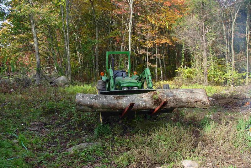 tigermaple log